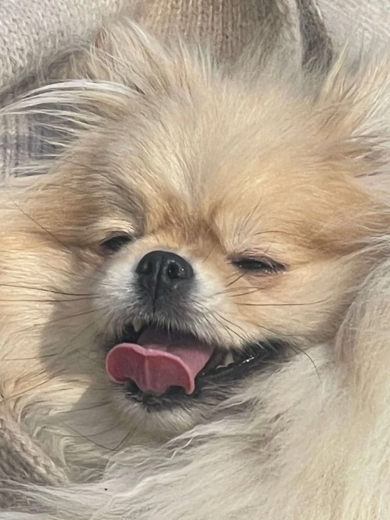 Lucyna