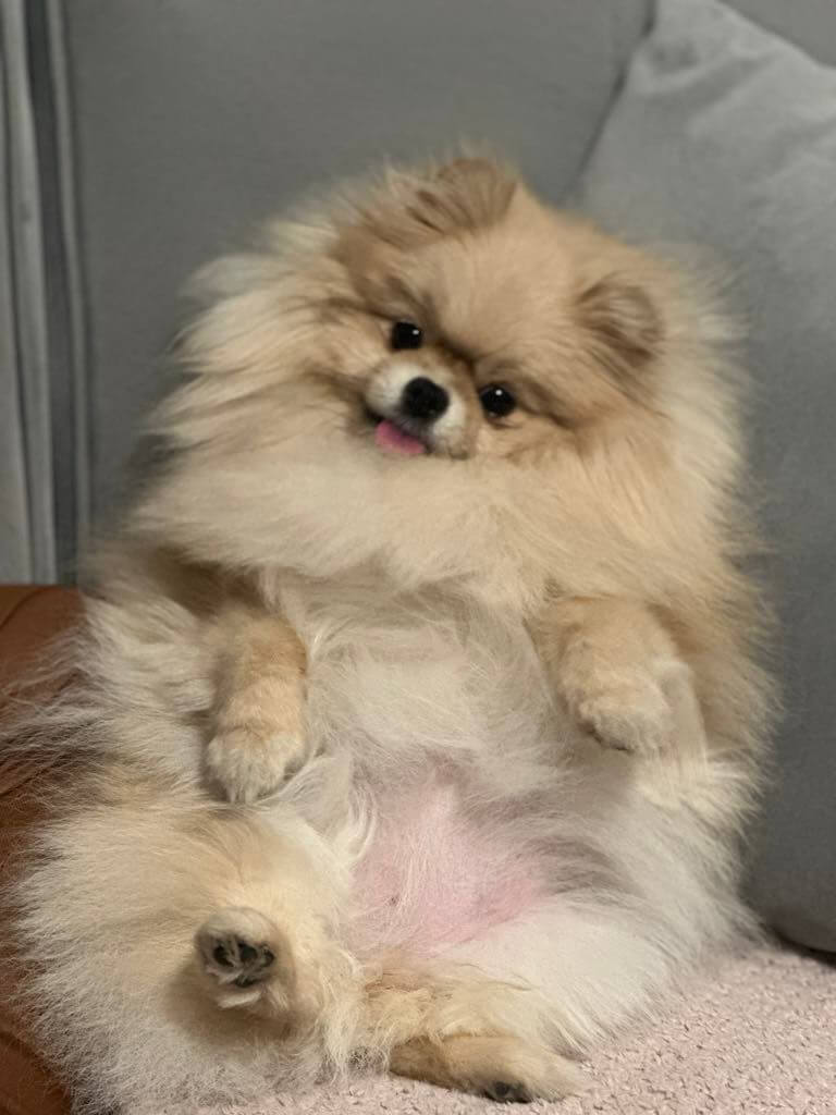 Lucyna